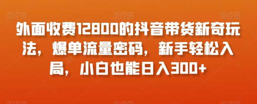 外面收费12800的抖音带货新奇玩法，爆单流量密码，新手轻松入局，小白也能日入300+【揭秘】-快赚