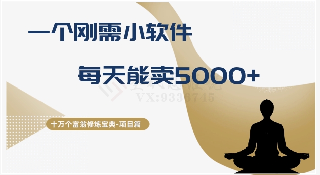 十万个富翁修炼宝典之17.一个刚需小软件，每天能卖5000+-快赚