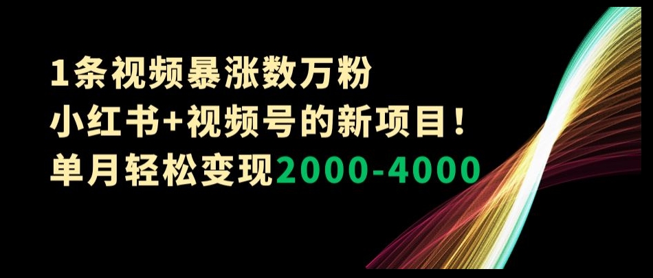 1条视频暴涨数万粉–小红书+视频号的新项目！单月轻松变现2000-4000【揭秘】-快赚