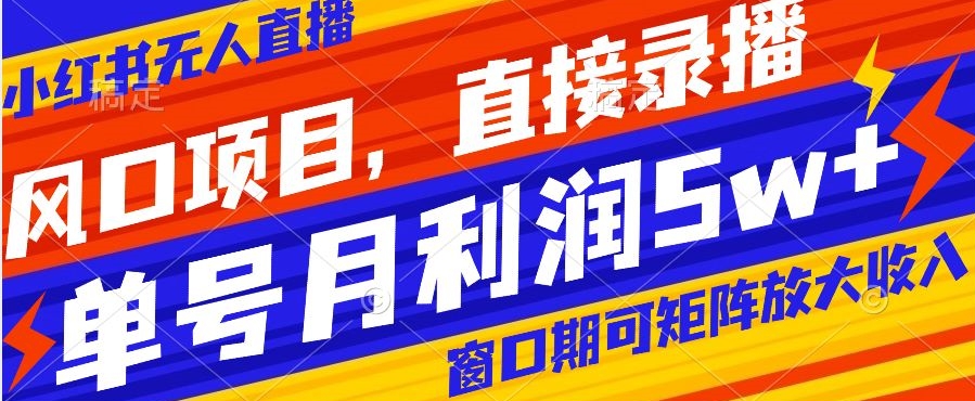 风口项目，小红书无人直播带货，直接录播，可矩阵，月入5w+【揭秘】-快赚
