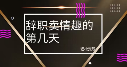 冷门赛道，辞职卖情趣的第几天，超暴力项目-快赚