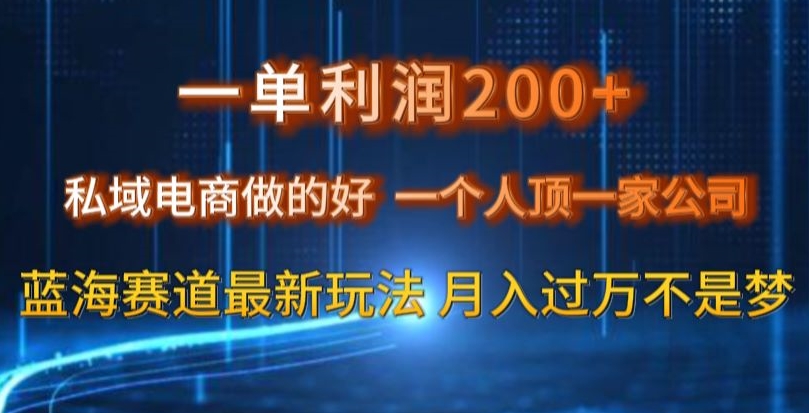 一单利润200私域电商做的好，一个人顶一家公司蓝海赛道最新玩法【揭秘】-快赚