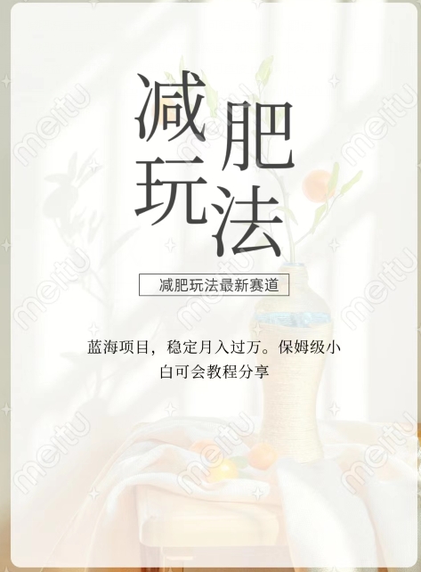 减肥流量主新玩法，轻松月入1W，可矩阵操作收入翻倍-快赚