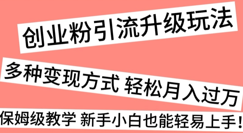 创业粉引流升级玩法，多种变现方式轻松月入过万，保姆级教学新手小白也能轻易上手！-快赚