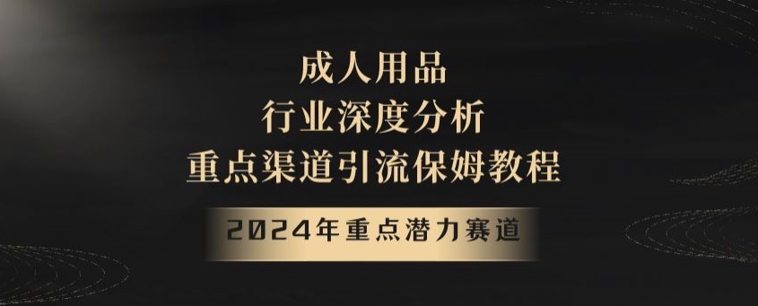 2024年重点潜力赛道，成人用品行业深度分析，重点渠道引流保姆教程【揭秘】-快赚
