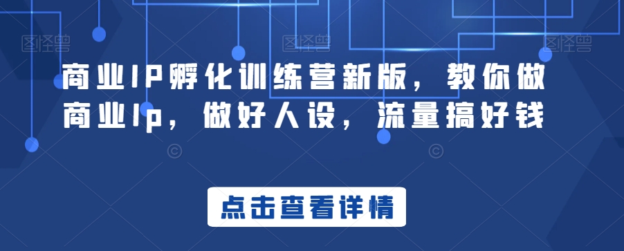 商业IP孵化训练营新版，教你做商业Ip，做好人设，流量搞好钱-快赚