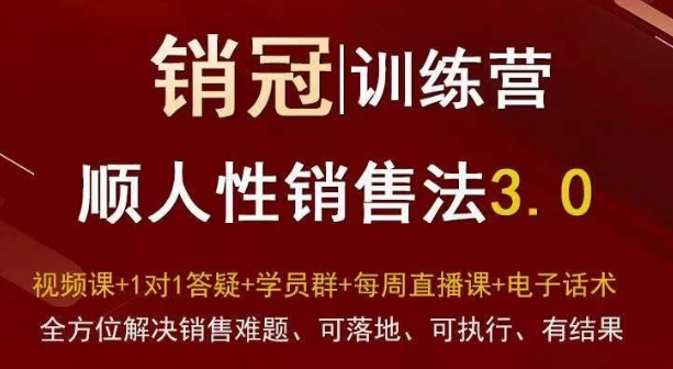 爆款！销冠训练营3.0之顺人性销售法，全方位解决销售难题、可落地、可执行、有结果-快赚