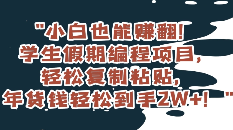 小白也能赚翻！学生假期编程项目，轻松复制粘贴，年货钱轻松到手2W+【揭秘】-快赚