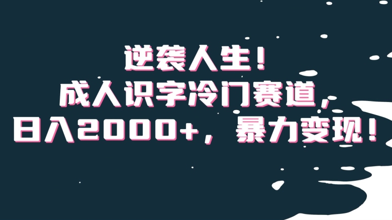 逆袭人生！成人识字冷门赛道，日入2000+，暴力变现！【揭秘】-快赚
