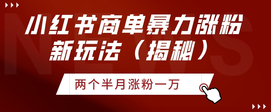 小红书商单暴力涨粉新玩法两个半月涨粉一万（揭秘）-快赚
