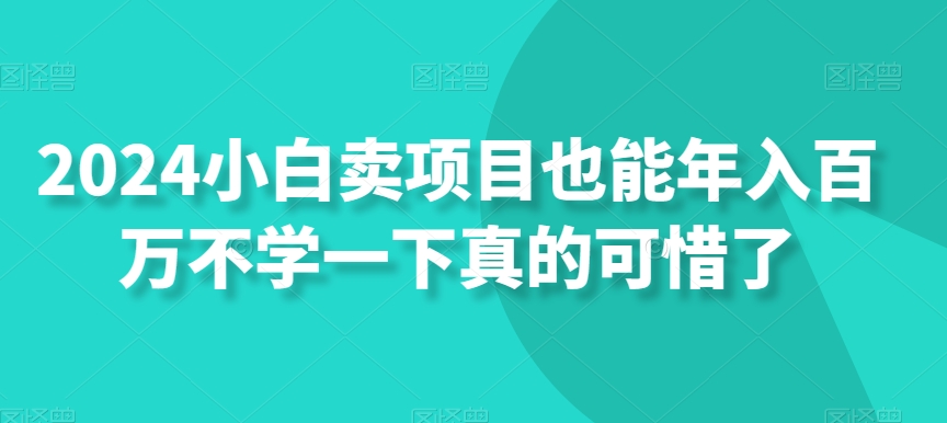 2024小白卖项目也能年入百万不学一下真的可惜了-快赚