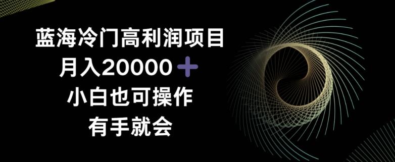 蓝海冷门高利润项目月入2000，小白也可操作有手就会-快赚