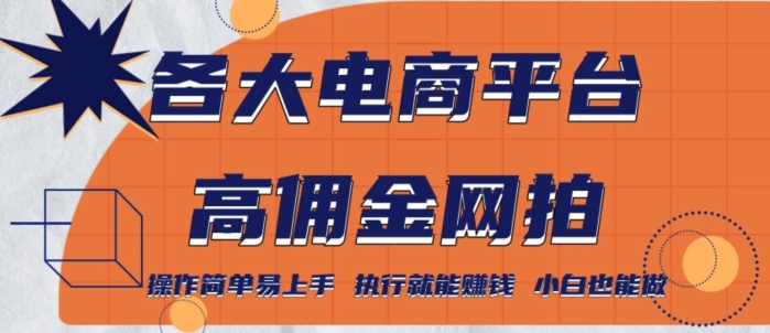 各大电商平台高佣金网拍，操作简单易上手，执行就能赚钱，小白也能做-快赚