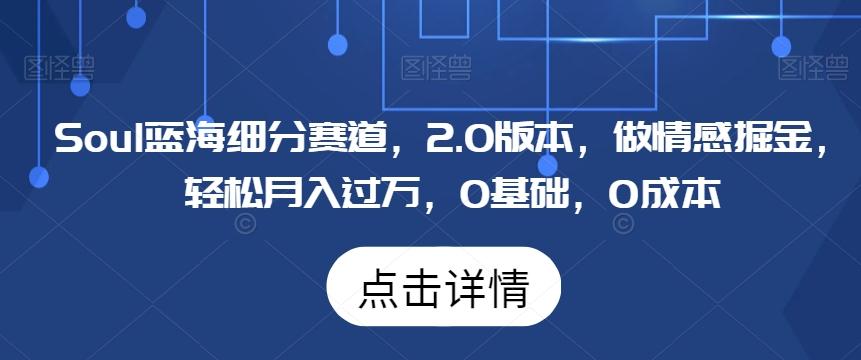 Soul蓝海细分赛道，2.0版本，做情感掘金，轻松月入过万，0基础，0成本-快赚
