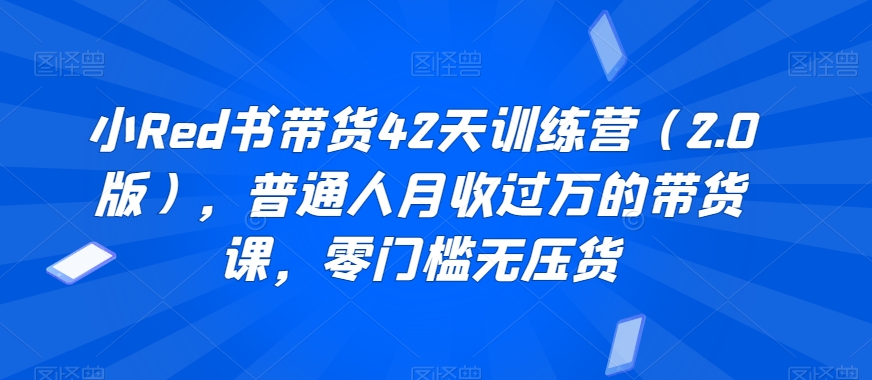 小Red书带货42天训练营(2.0版)，普通人月收过万的带货课，零门槛无压货-快赚