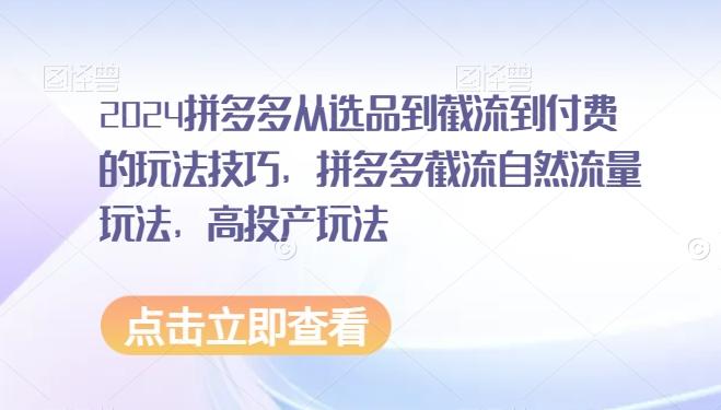 2024拼多多从选品到截流到付费的玩法技巧，拼多多截流自然流量玩法，高投产玩法-快赚