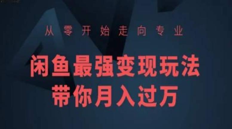从零开始走向专业，闲鱼最强变现玩法带你月入过万-快赚