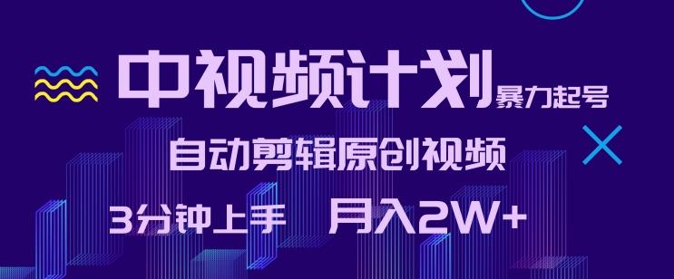 中视频计划暴力起号，自动剪辑原创视频，3分钟上手，月入2W+【揭秘】-快赚