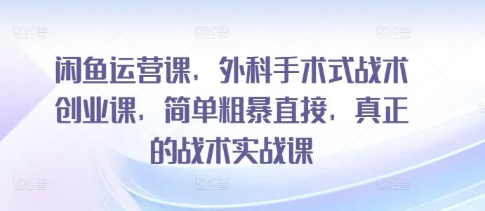 闲鱼运营课，外科手术式战术创业课，简单粗暴直接，真正的战术实战课-快赚