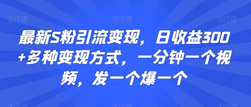 最新S粉引流变现，日收益300+多种变现方式，一分钟一个视频，发一个爆一个【揭秘】-快赚