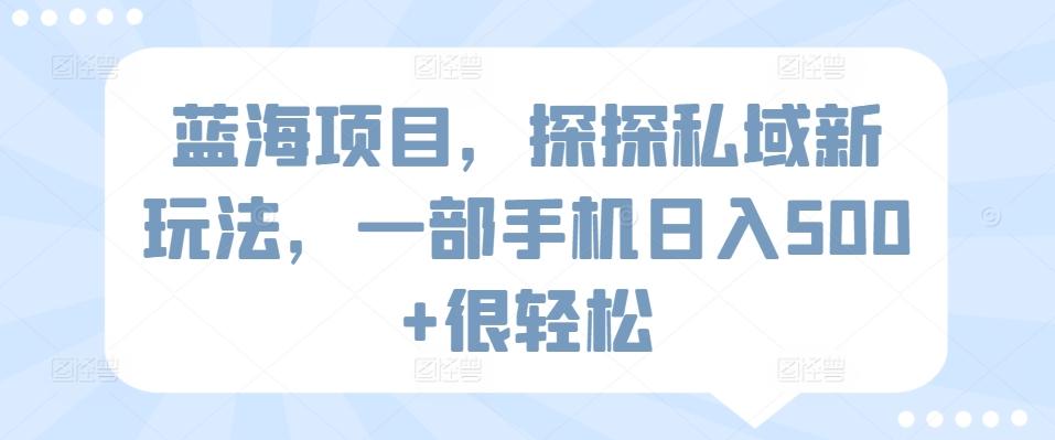 蓝海项目，探探私域新玩法，一部手机日入500+很轻松【揭秘】-快赚