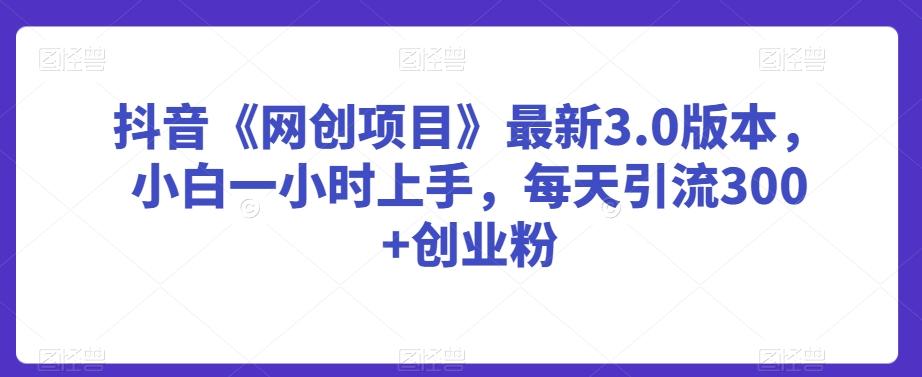抖音《网创项目》最新3.0版本，小白一小时上手，每天引流300+创业粉【揭秘】-快赚
