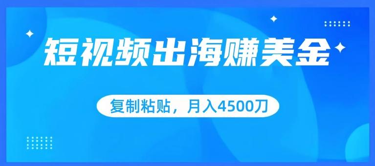 短视频出海赚美金，复制粘贴批量操作，小白轻松掌握，月入4500美刀【揭秘】-快赚