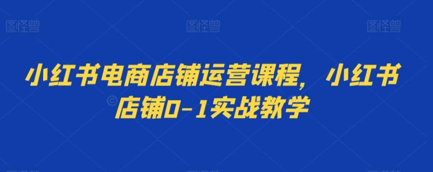 小红书电商店铺运营课程，小红书店铺0-1实战教学-快赚