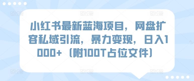 小红书最新蓝海项目，网盘扩容私域引流，暴力变现，日入1000+(附100T占位文件)【揭秘】-快赚