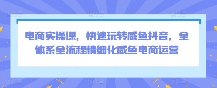 电商实操课，快速玩转咸鱼抖音，全体系全流程精细化咸鱼电商运营-快赚