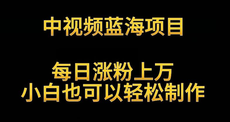 中视频蓝海项目，解读英雄人物生平，每日涨粉上万，小白也可以轻松制作，月入过万不是梦【揭秘】-快赚
