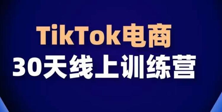TikTok电商带货30天线上课，不可错过的全球流量洼地！-快赚