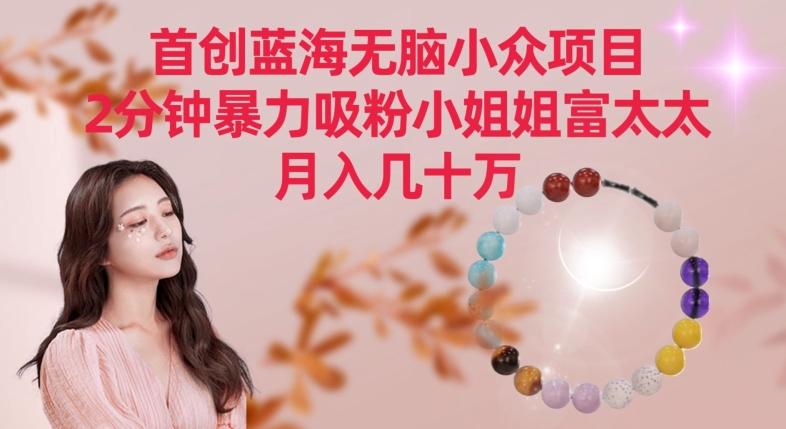 首创蓝海无脑小众项目，2分钟暴力吸粉小姐姐富太太，月入几十万【揭秘】-快赚