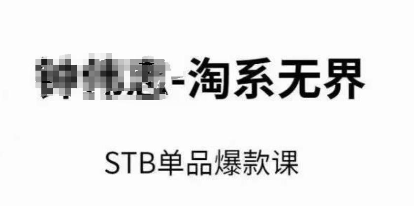 淘系无界STB单品爆款课(2024)，付费带动免费的核心逻辑，万相台无界关键词推广/精准人群的核心-快赚