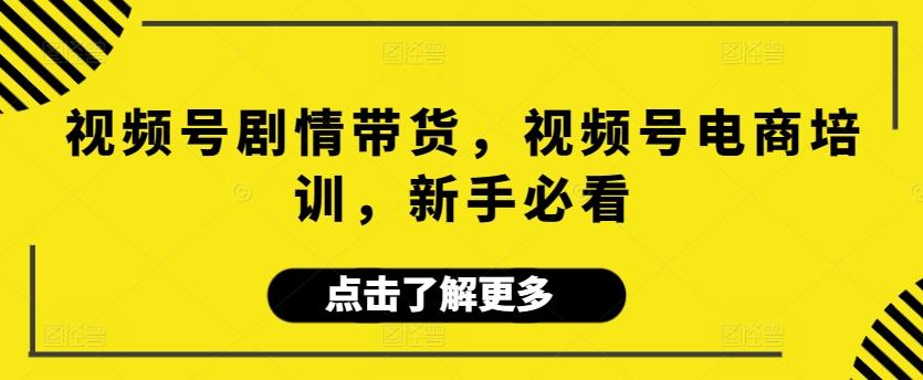 视频号剧情带货，视频号电商培训，新手必看-快赚