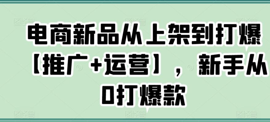 电商新品从上架到打爆【推广+运营】，新手从0打爆款-快赚