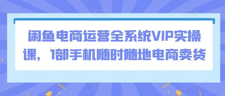 闲鱼电商运营全系统VIP实操课，1部手机随时随地电商卖货-快赚