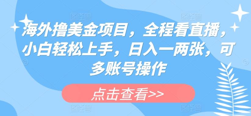 海外撸美金项目，全程看直播，小白轻松上手，日入一两张，可多账号操作【揭秘】-快赚