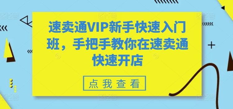 速卖通VIP新手快速入门班，手把手教你在速卖通快速开店-快赚