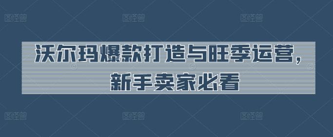 沃尔玛爆款打造与旺季运营，新手卖家必看-快赚