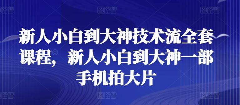 新人小白到大神技术流全套课程，新人小白到大神一部手机拍大片-快赚