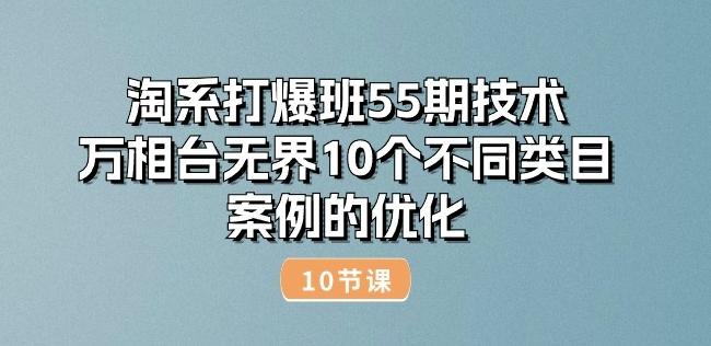 淘系打爆班55期技术：万相台无界10个不同类目案例的优化(10节)-快赚