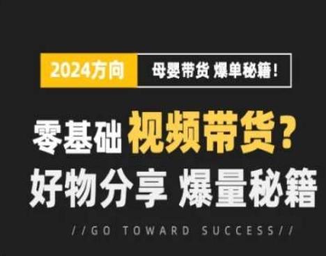 短视频母婴赛道实操流量训练营，零基础视频带货，好物分享，爆量秘籍-快赚