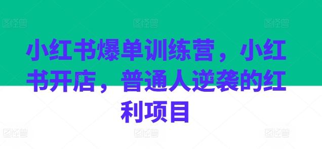 小红书爆单训练营，小红书开店，普通人逆袭的红利项目-快赚