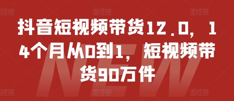 抖音短视频带货12.0，14个月从0到1，短视频带货90万件-快赚