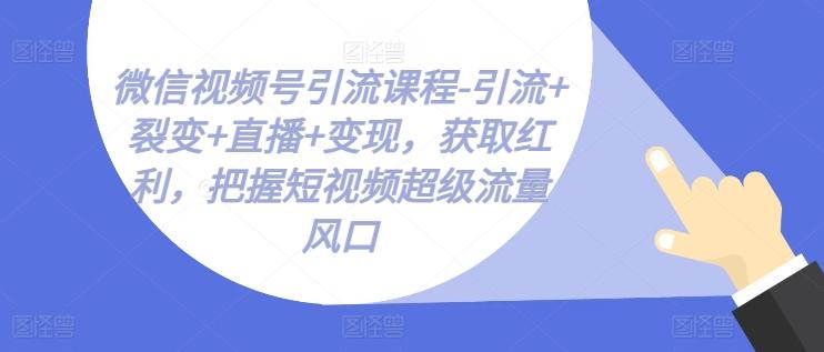 微信视频号引流课程-引流+裂变+直播+变现，获取红利，把握短视频超级流量风口-快赚
