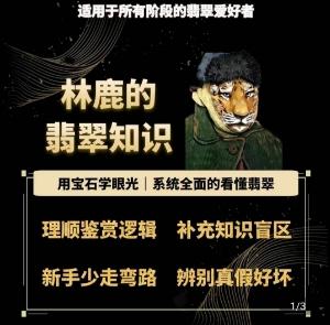 林鹿的翡翠知识，​用宝石眼光，系统全面的看懂翡翠-快赚