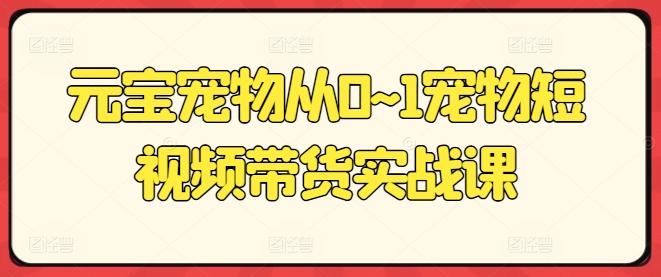 元宝宠物从0~1宠物短视频带货实战课-快赚