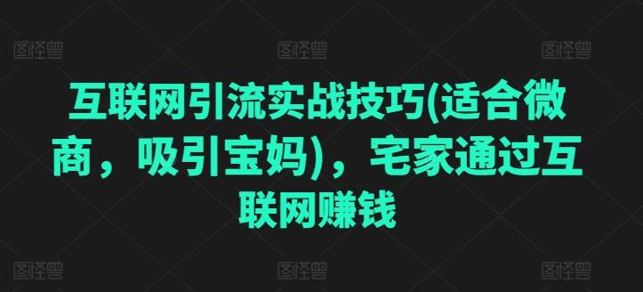 互联网引流实战技巧(适合微商，吸引宝妈)，宅家通过互联网赚钱-快赚