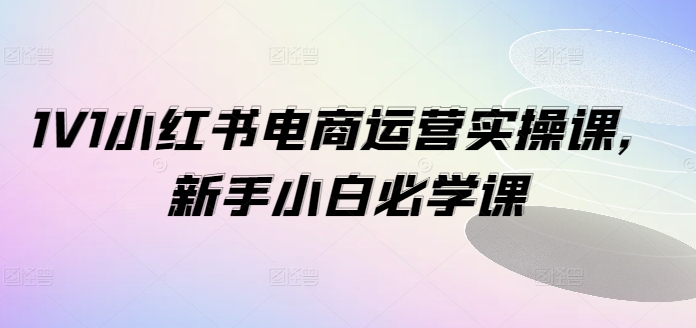 1V1小红书电商运营实操课，新手小白必学课-快赚